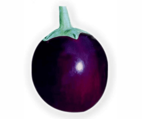 Brinjal