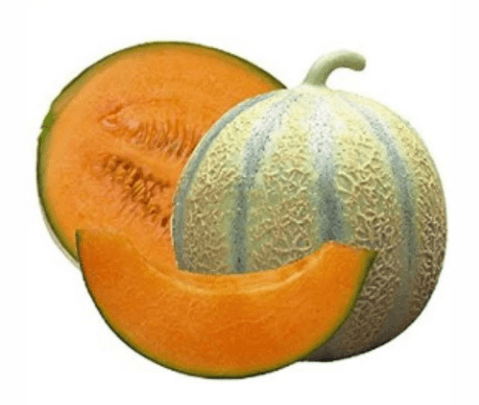 Muskmelon