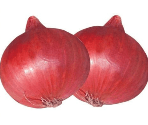 Onion