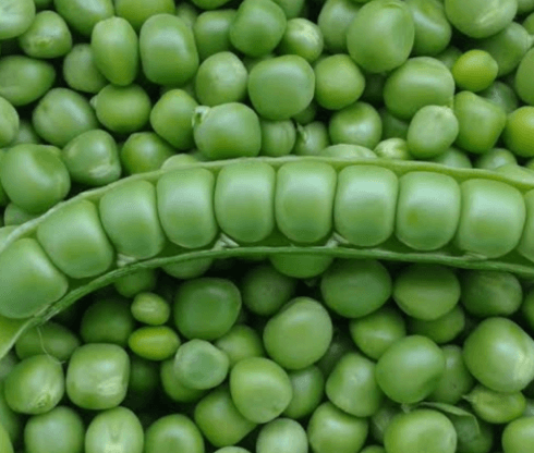 Peas